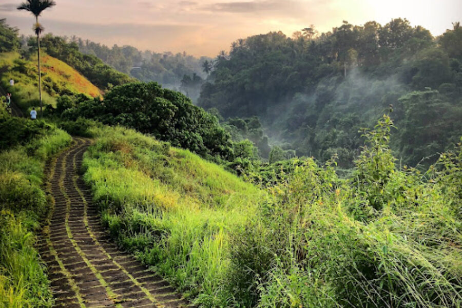 Bali Retreat for Self-Discovery!
